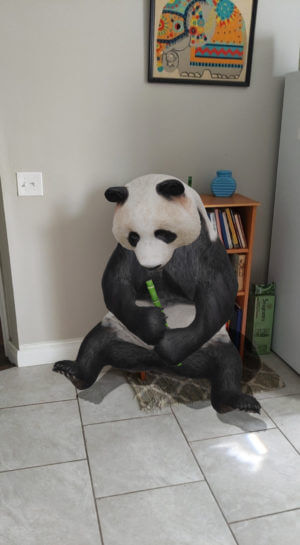 google 3d ar panda