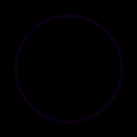 echo flashes purple color